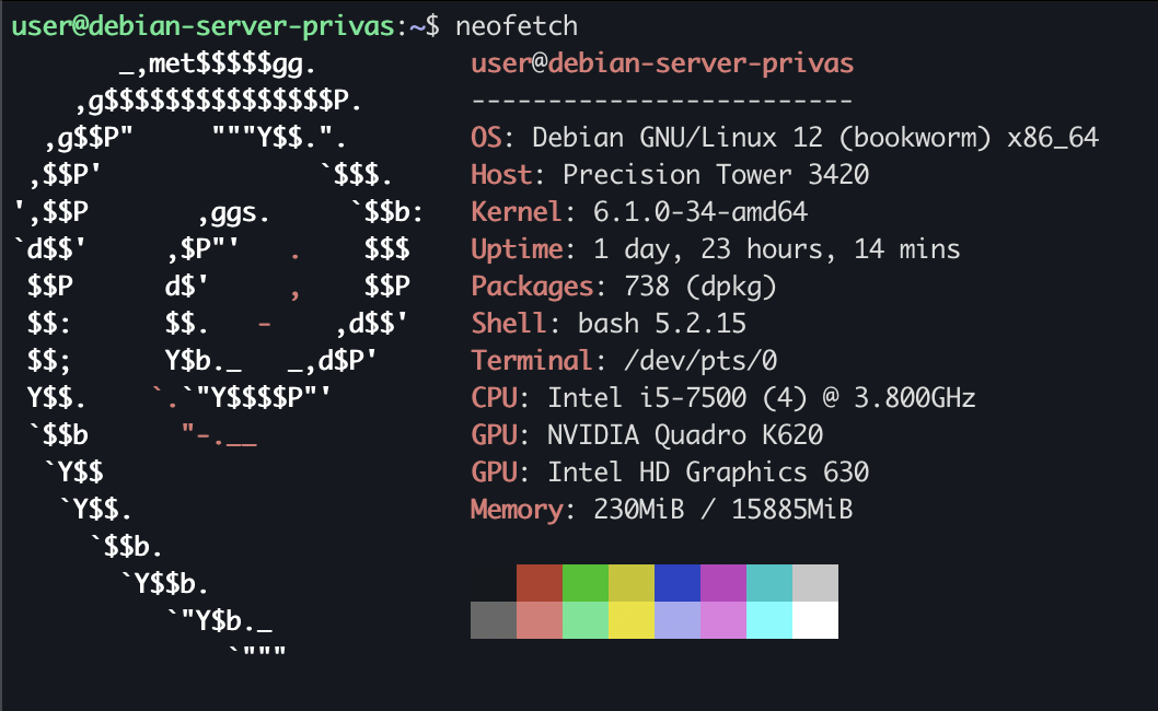 Debian Server Screenshot